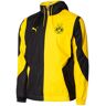 Puma - Chaqueta Borussia Dortmund  Pre-Match 2023-2024, Unisex, Cyber Yellow-Black, L