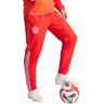 Adidas - Pantalón largo FC Bayern Training 2023-2024, Unisex, Red-Bright Red-White, S