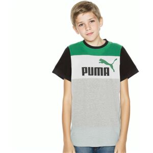 Puma - Camiseta Essentials Block Niño, Unisex, White-Black-Shadow Gray, 176 cm