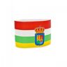 Mercury - Brazalete Capitán La Rioja, Unisex, Red-White-Green-Yellow, Junior