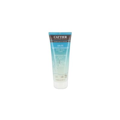 Gel de Aloe Vera Orgánico y Refrescante Después del Sol - Gel Corporal Gel de Aloe Vera Orgánico y Refrescante Después del Sol - Gel Corporal