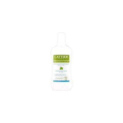 Enjuague bucal fresco con menta orgánica 500 ml - Cattier Enjuague bucal fresco con menta orgánica 500 ml - Cattier
