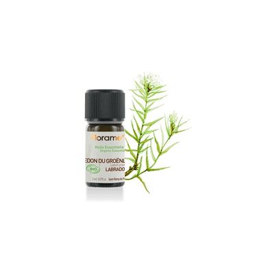 Aceite esencial de Ledon de Groenlandia 2 ml de aceite esencial - Florame Aceite esencial de Ledon de Groenlandia 2 ml de aceite esencial - Florame