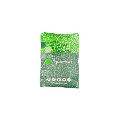 Polvo de Raiz de Jengibre 1 kg de polvo - Plameca Polvo de Raiz de Jengibre 1 kg de polvo - Plameca