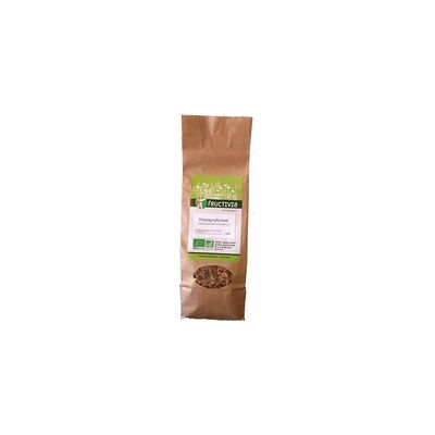 Harpagophytum 300 g - Fructivia Harpagophytum 300 g - Fructivia