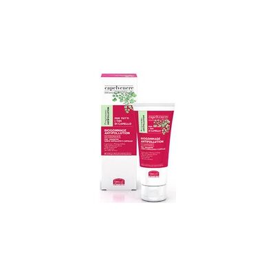 Maidenhair Biogommage Desintoxicante Antipolución 100 ml de crema - Helan Maidenhair Biogommage Desintoxicante Antipolución 100 ml de crema - Helan