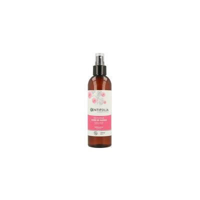 Agua floral de Rosa de Damasco 200 ml de agua floral - Centifolia Agua floral de Rosa de Damasco 200 ml de agua floral - Centifolia