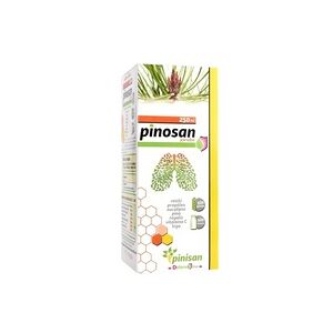 Pinosan jarabe 250 ml - Pinisan