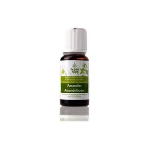 Macerado De Almendra 30 ml - Saint Hilaire - Helpac