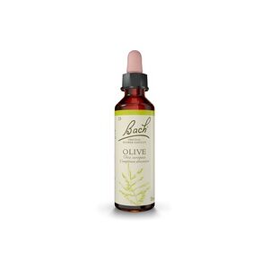 Flores de Bach 23 Olive (olivo) 20 ml de elixir floral - Fleurs de Bach® Original Flores de Bach 23 Olive (olivo) 20 ml de elixir floral - Fleurs de Bach® Original