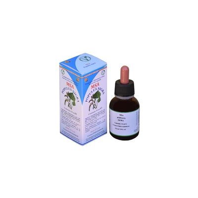 Herboplanet Msa Populus Nigra - Apoya Circulación - Suplemento Alimenticio Herboplanet Msa Populus Nigra - Apoya Circulación - Suplemento Alimenticio