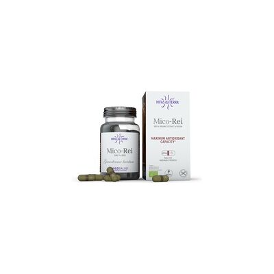 Suplemento Orgánico de Reishi Hifas da Terra 30 Cápsulas - Apoya el Sistema Inmunológico Suplemento Orgánico de Reishi Hifas da Terra 30 Cápsulas - Apoya el Sistema Inmunológico