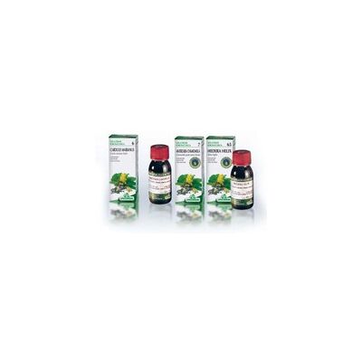 Specchiasol Damiana 29 - Gotas Herbales para el Estrés Specchiasol Damiana 29 - Gotas Herbales para el Estrés