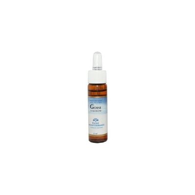 Elixir Floral de Gorse - Apoyo Psicosomático - Forza Vitale Elixir Floral de Gorse - Apoyo Psicosomático - Forza Vitale