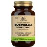 Boswellia Resina (Boswellia Serrata) 60 cápsulas vegetales Solgar