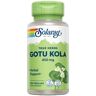 Gotu kola 450 mg 100 cápsulas vegetales de 450mg - Solaray