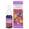 Flower of Life Sentido de la Vida 15 ml de elixir floral - Equisalud