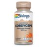 Cordyceps 60 cápsulas fáciles de tragar Solaray