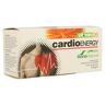 Cardio Energy 14 sobres - Soria Natural