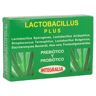 Lactobacillus Plus 60 cápsulas Integralia