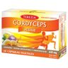 Cordyceps Active 60 cápsulas - Terezia Company