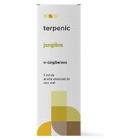Terpenic 5 x Aceite Esencial Jengibre 5 ml de aceite esencial (Jengibre) - Terpenic