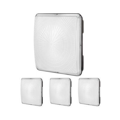 Juego De 4 Lámparas Led 150w Ip65 Para Techos Industriales Y Exteriores Tekmaquinas Juego De 4 Lámparas Led 150w Ip65 Para Techos Industriales Y Exteriores Tekmaquinas