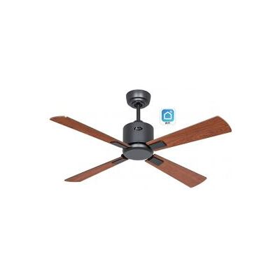Ventilador de Techo CasaFan Eco Neo III WiFi - Negro Ventilador de Techo CasaFan Eco Neo III WiFi - Negro