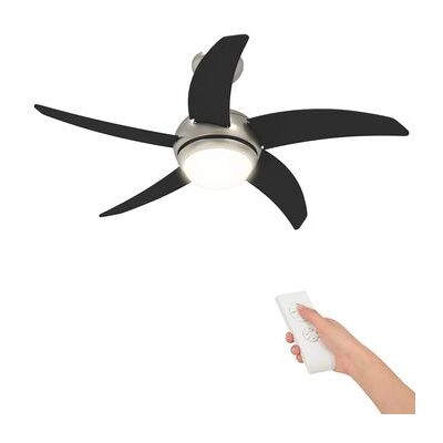 Ventilador De Techo Con Luz Y Control Remoto Ø 110 Cm Vidaxl Ventilador De Techo Con Luz Y Control Remoto Ø 110 Cm Vidaxl