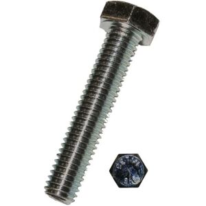 Tornillos de cabeza hexagonal galvanizados DRESSELHAUS 0222/001/74 6X10