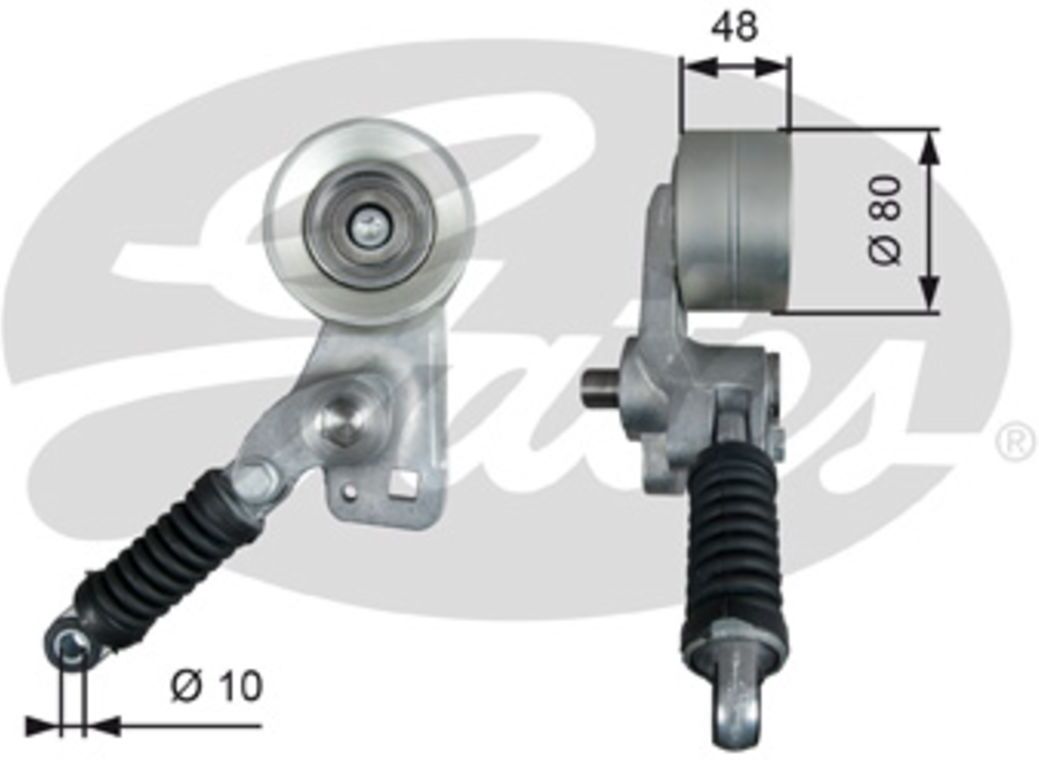 Tensor de correa, correa acanalada en V GATES T38604