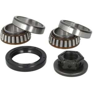 Juego de cojinetes de rueda SKF VKBA 3666 Juego de cojinetes de rueda SKF VKBA 3666