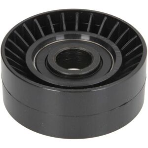 BTA E2B5025BTA Polea tensor de correa en V para BMW BTA E2B5025BTA Polea tensor de correa en V para BMW