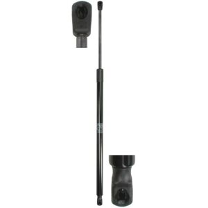 Resorte de gas para VW Routan - Amortiguador hidráulico 890N Resorte de gas para VW Routan - Amortiguador hidráulico 890N