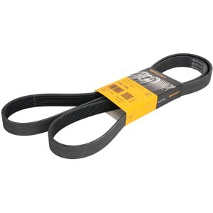 Contitech Correa poly V CONTINENTAL 7PK1795 Contitech Correa poly V CONTINENTAL 7PK1795