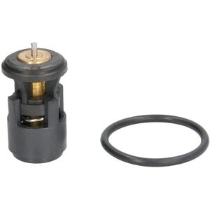 THERMOTEC D2A005TT Termostato - Con junta THERMOTEC D2A005TT Termostato - Con junta