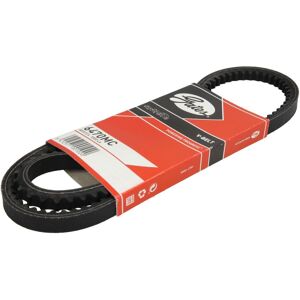 Correa poly V GATES 6470MC Correa poly V GATES 6470MC