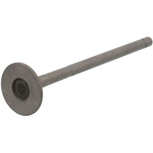 Válvula FRECCIA R6770/RNT - 45° Asiento Acero Nitrurado 24.3mm Válvula FRECCIA R6770/RNT - 45° Asiento Acero Nitrurado 24.3mm