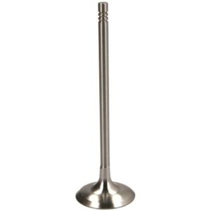 Válvula FRECCIA R6730/S para BMW 3/5 Serie, Z4, X3 - Válvula Válvula FRECCIA R6730/S para BMW 3/5 Serie, Z4, X3 - Válvula