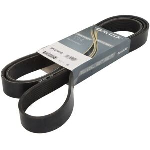 Correa Poly-V DAYCO 8PK2246HD - Correa de accesorios Correa Poly-V DAYCO 8PK2246HD - Correa de accesorios
