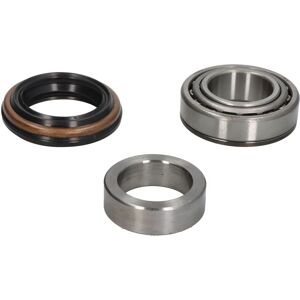 Kit de rodamientos de rueda BTA H20307BTA - Kia Sportage I Kit de rodamientos de rueda BTA H20307BTA - Kia Sportage I