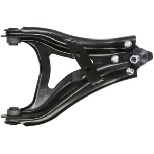 DELPHI TC4852 Brazo de suspensión - Brazo de suspensión DELPHI TC4852 Brazo de suspensión - Brazo de suspensión