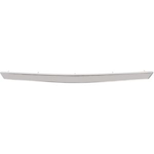 Rejilla de radiador BLIC - Protege y Decora Modelo 6502-07-1303994P Rejilla de radiador BLIC - Protege y Decora Modelo 6502-07-1303994P