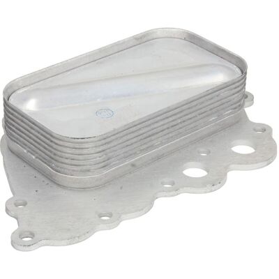 Enfriador de aceite THERMOTEC D4M016TT - Radiador de aceite de motor Enfriador de aceite THERMOTEC D4M016TT - Radiador de aceite de motor