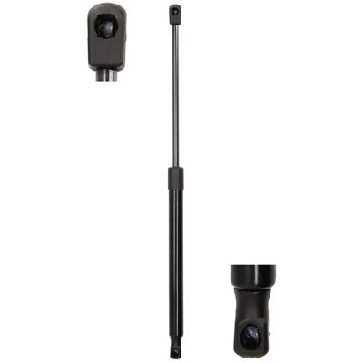Magnum Technology MGS5006 Amortiguador hidráulico para portón - Hatchback Magnum Technology MGS5006 Amortiguador hidráulico para portón - Hatchback