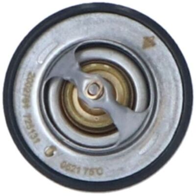 Termostato de agua NRF 725131 - Anillo de sellado - Sin carcasa Termostato de agua NRF 725131 - Anillo de sellado - Sin carcasa