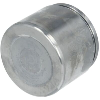 Autofren Seinsa D025308 - Caliper de freno delantero, Acero, Diámetro 60mm Autofren Seinsa D025308 - Caliper de freno delantero, Acero, Diámetro 60mm