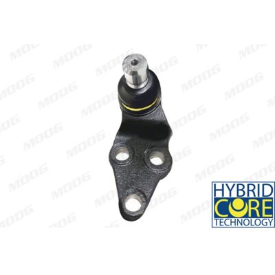 Cazo de suspensión MOOG VV-BJ-17455 - Eje delantero izquierdo Cazo de suspensión MOOG VV-BJ-17455 - Eje delantero izquierdo