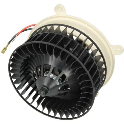 THERMOTEC DDM016TT Motor eléctrico, ventilador de habitáculo THERMOTEC DDM016TT Motor eléctrico, ventilador de habitáculo