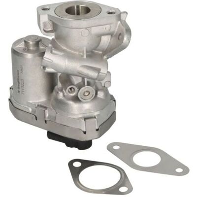 Wahler 711022D Válvula EGR - Válvula EGR Wahler 711022D Válvula EGR - Válvula EGR
